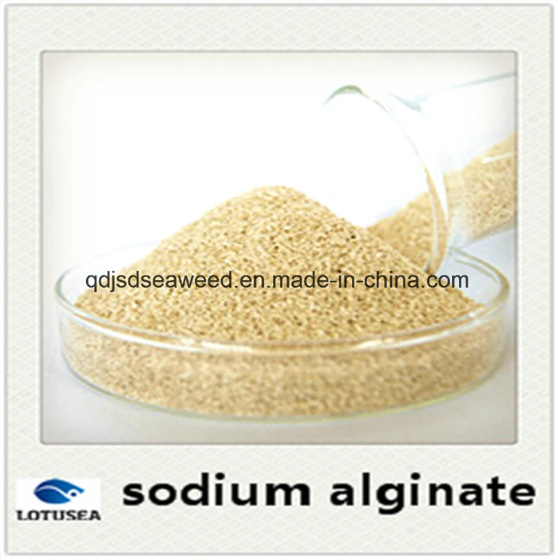 Sodium Alginate for Textile Reactive Dye Use 100mesh 2500cps