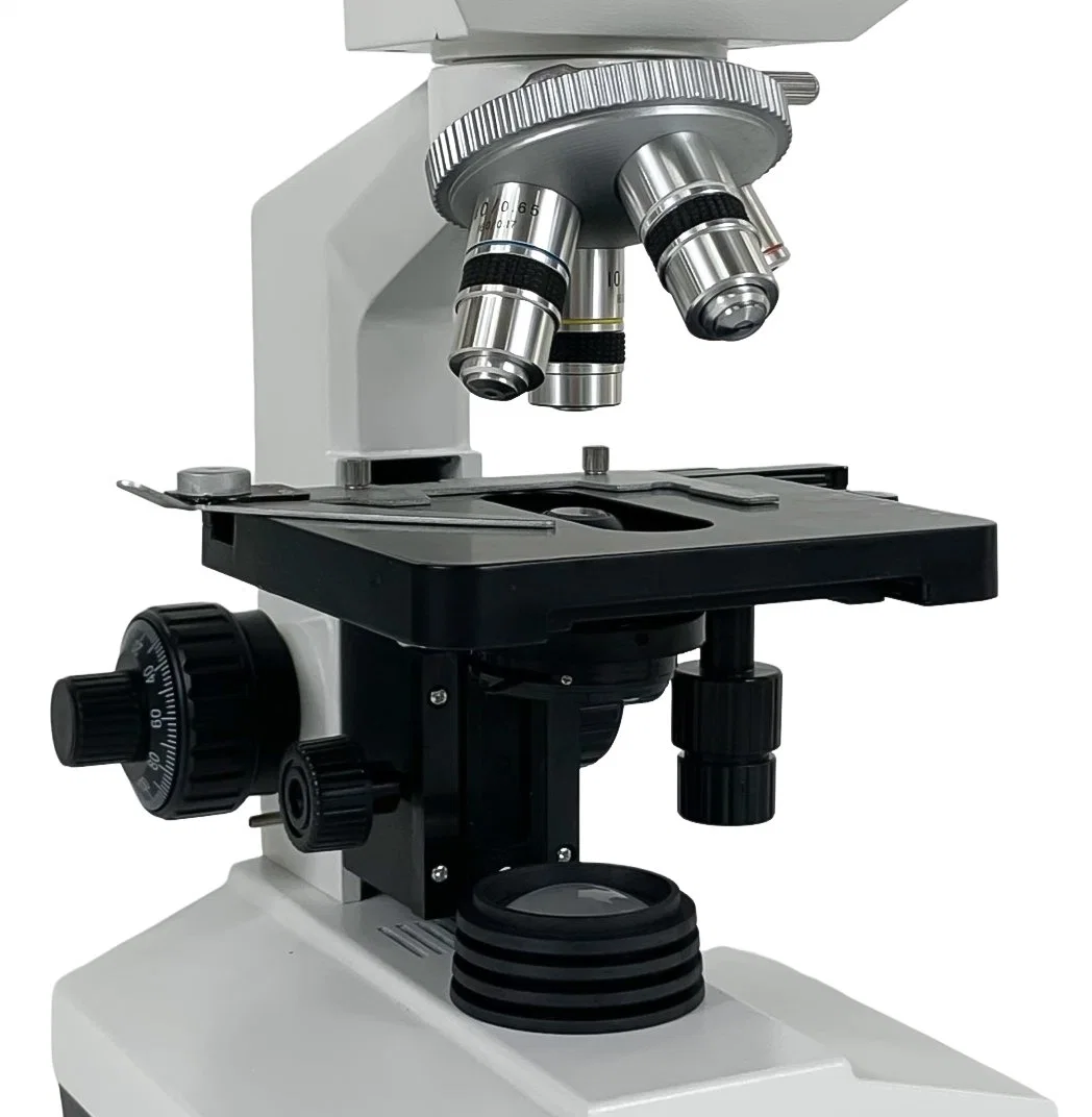 Microscope optique physique pour passer l'authentification CE Xsz-107bn.