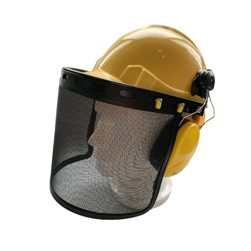 Rescate casco con visera y Earmuff protección facial completa.