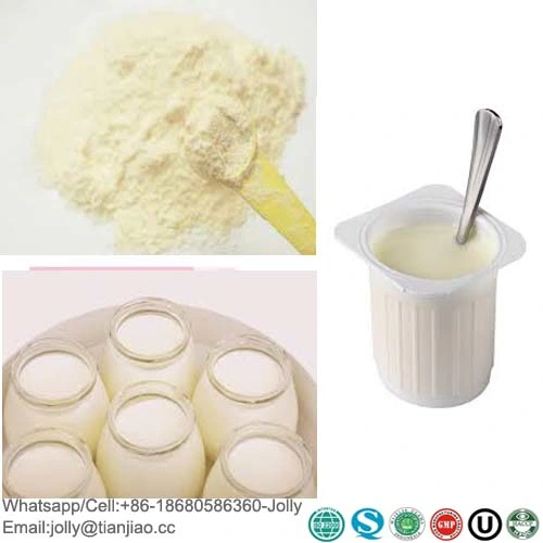 Instant Yogurt Cheese Powder for Yogurt Ice Cream