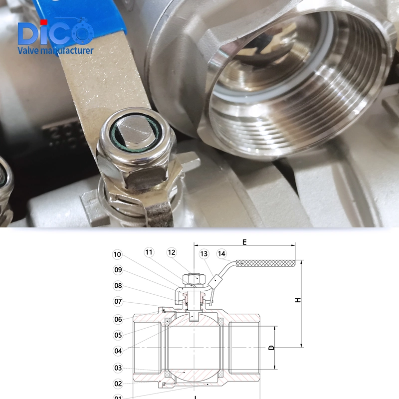 Rosca de tornillo hembra macho de acero inoxidable 2PC NPT/BSPT/BSP bola flotante Válvula