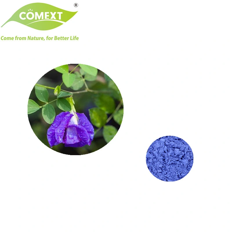 Comext China ISO Fssc Halal Kosher Manufacturer Free Sample Natural Health Blue Powder Food Color Butterfly Pea Flower Extract