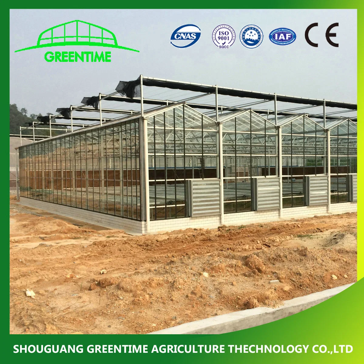 Competitive Venlo Type Galvanized Steel Structure Glass Greenhouse with Spraying System for Hydroponics/Strawberry/Vegetables/Flowers/Tomato/Cucumber