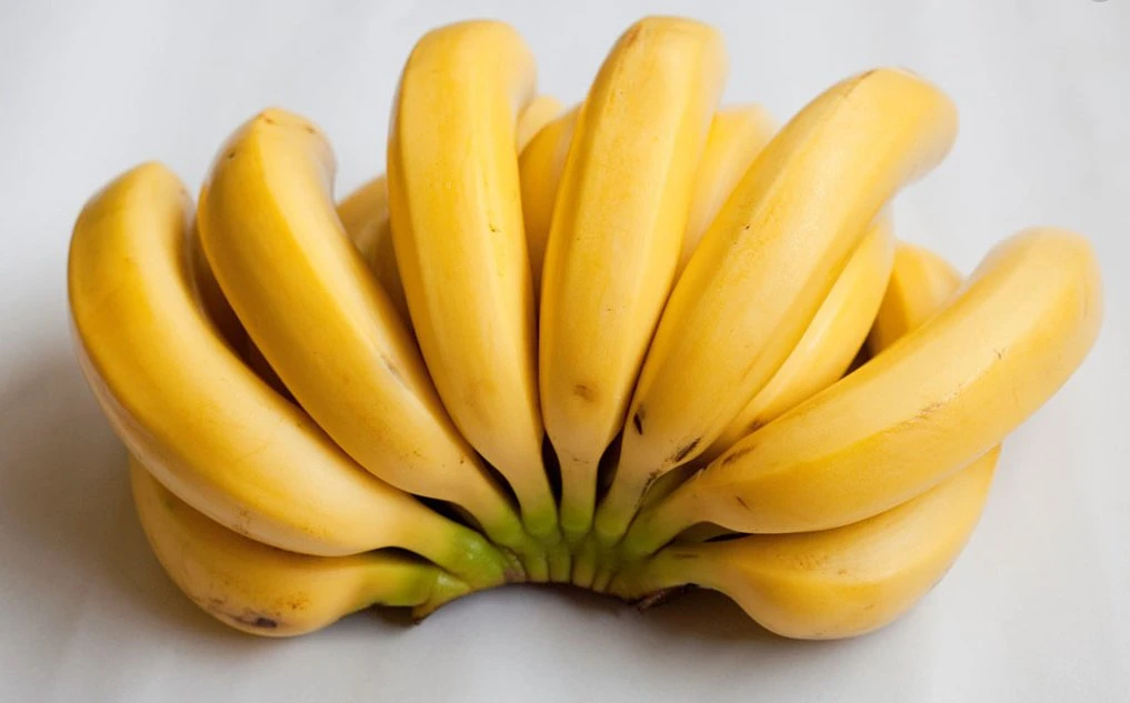 Gel organique de haute qualité de la poudre de fruits purs de bananes séchées extrait naturel Addtive alimentaire