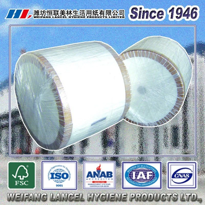 Original Factory Virgin Raw Material for Making Tissue Paper/Toilet Paper Jumbo Mother Roll for Converting