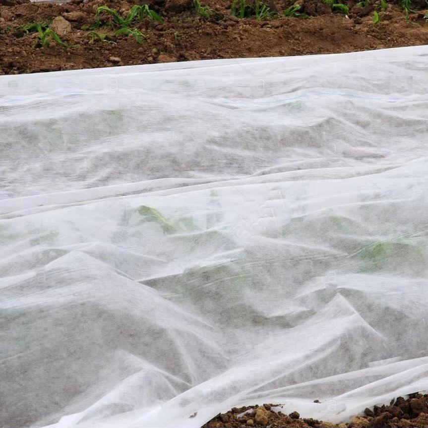 100%PP Spunbond cobertura de cultivos no tejida Agricultura Control de malezas Agricultura Textil Cubierta de cultivo no tejida con tratamiento UV