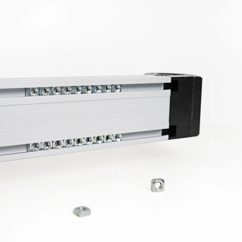 Linear Guide Rail Unit Belt Driven Actuator High Speed Long Stroke Servo Motor Module