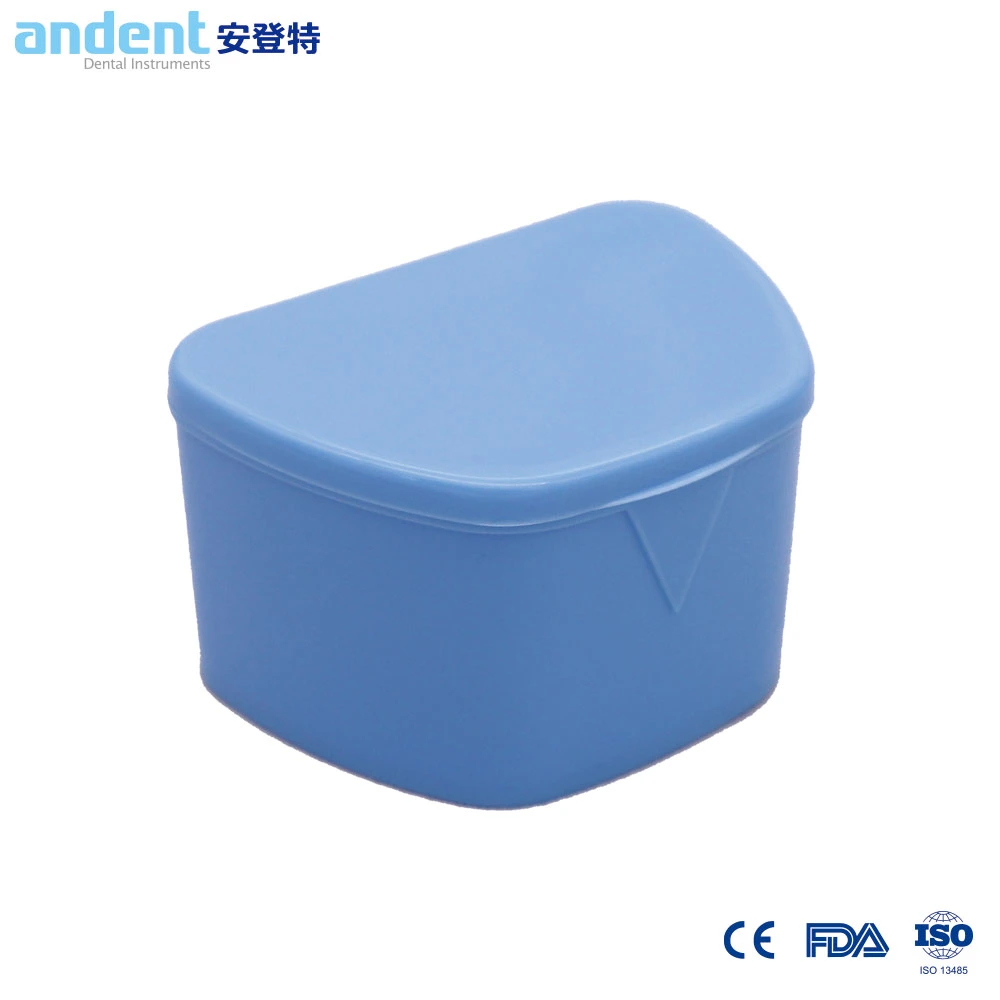 PP Dental Case Denture Storage Container Box