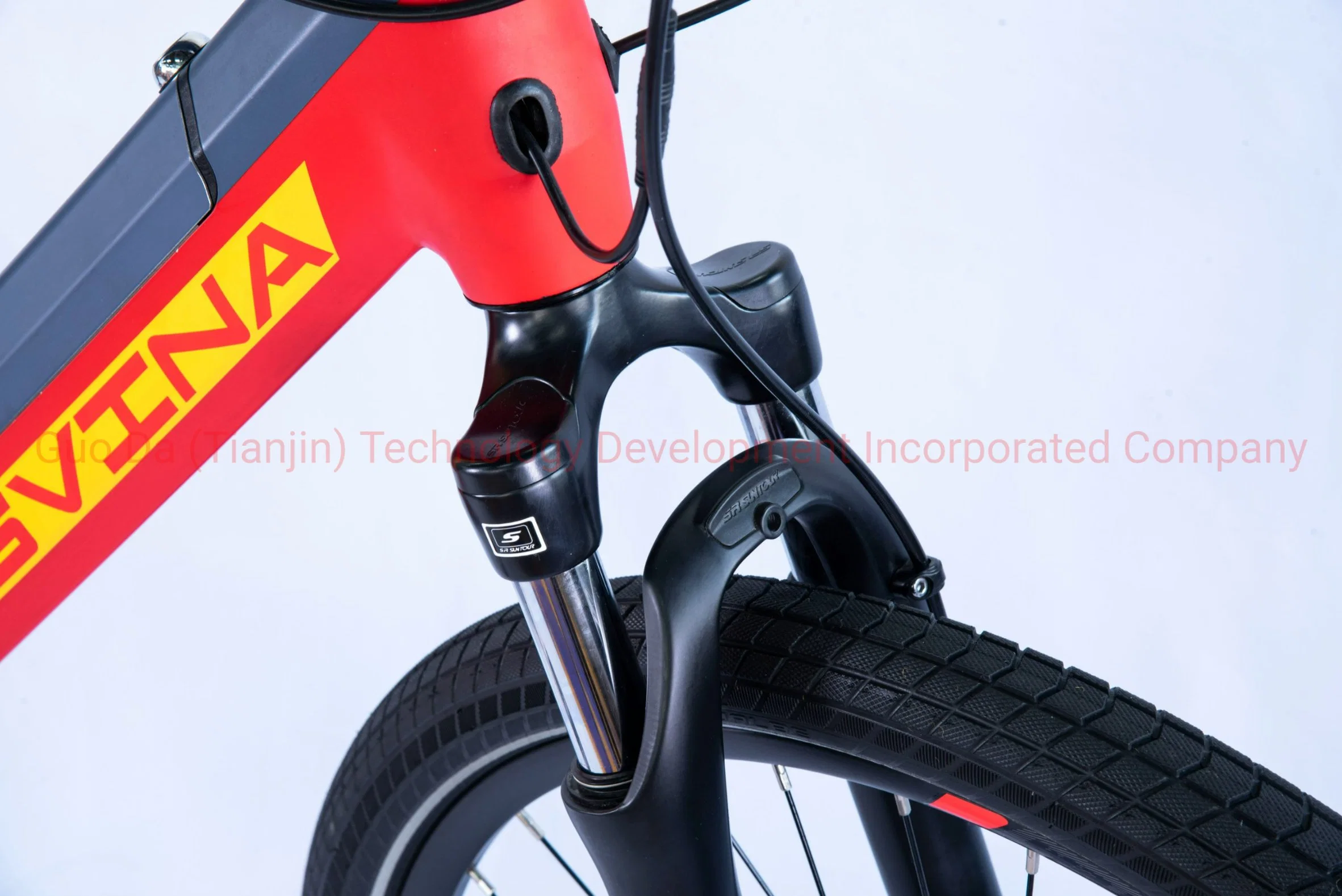 Electric Mountain Bicycle MTB Bike of CE Certification