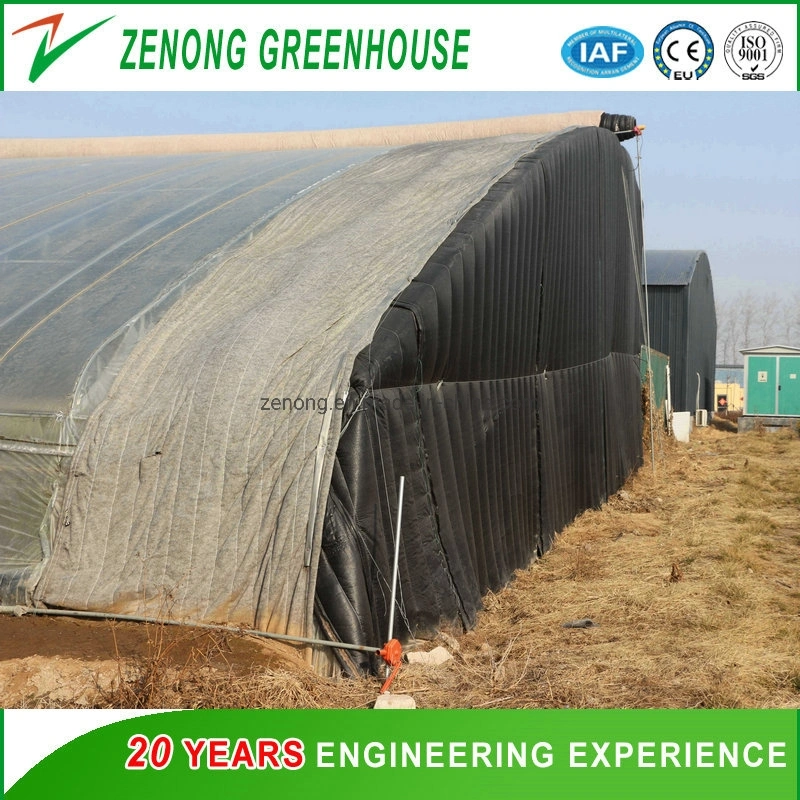 Chinese Po Film Greenhouse Solar Greenhouse with Cooling System for Growing Flowers/Tomato