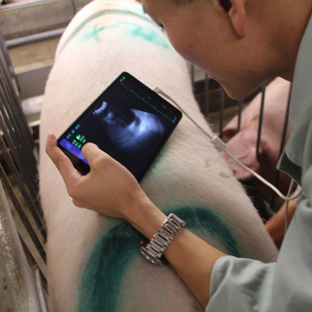 Mx5 B/W ultrasonido portátil para el ganado Ecógrafo veterinario