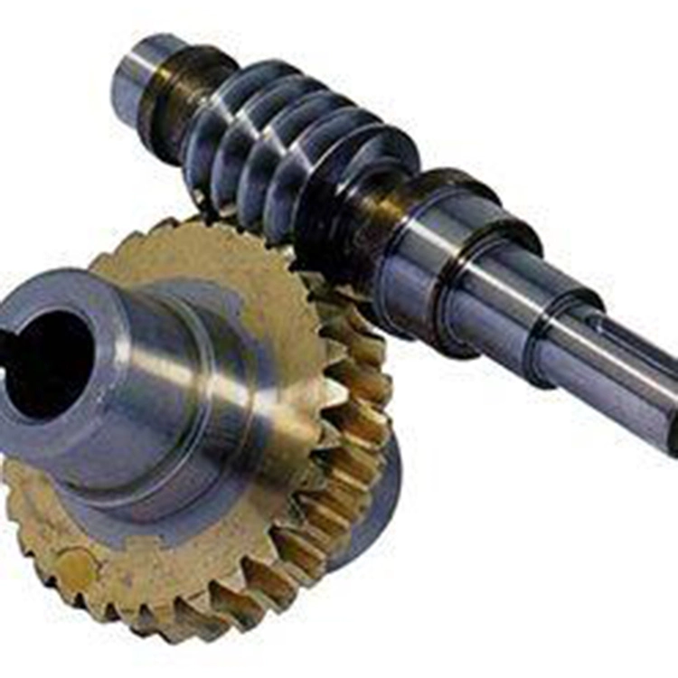 Duplex-Wurm Zahnrad Bronze Ground Welle Kunststoff Helical Messing Selbstverriegelung Lieferant Micro Outdoor Fahrt Auto Spare Spur Hersteller Duplex-Wurmgetriebe Des Gabelstaplers