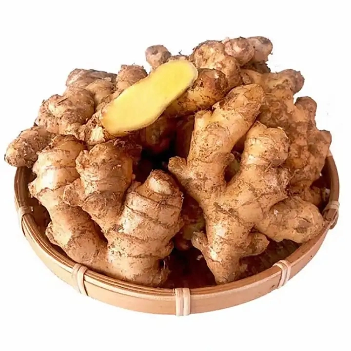 Factory Price Ginger Big Dry Ginger