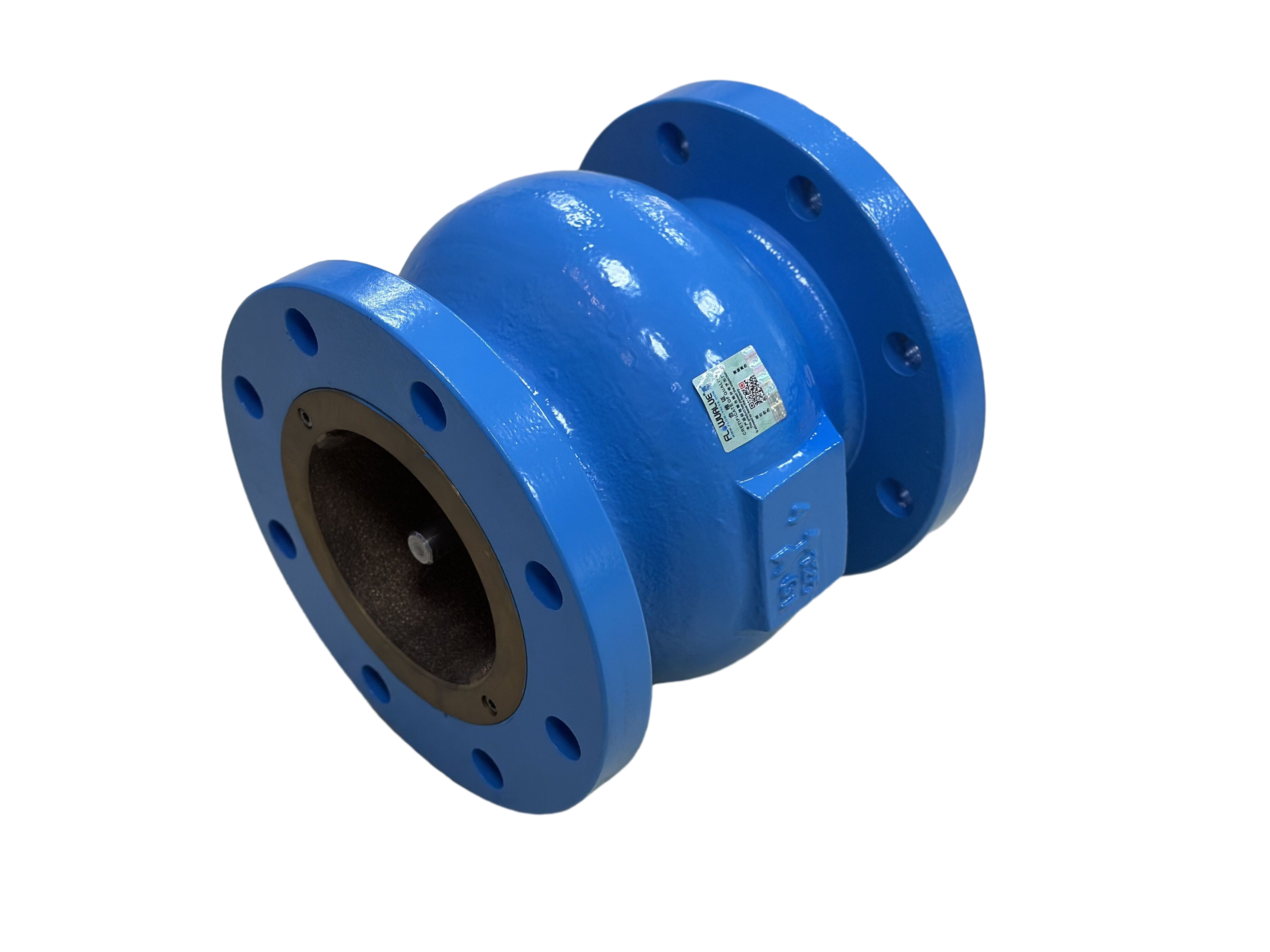 Nozzle Check Valve Ductile Iron Double Flanged Spring Loaded Silent Check Valves for Pump Pn16