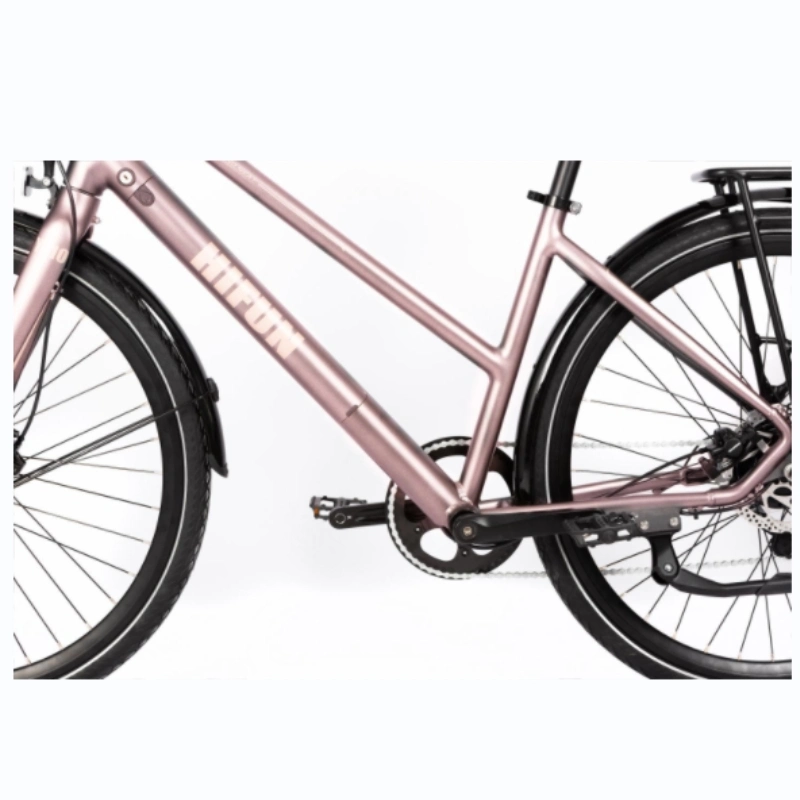 Color especial Lady Luz batería de litio E bicicleta