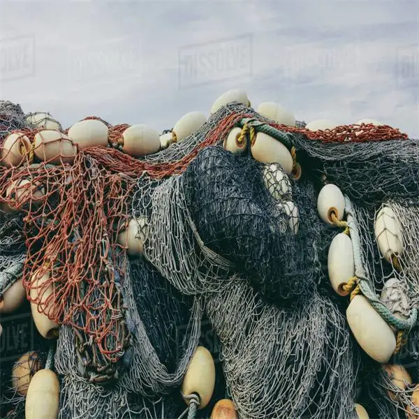 Nylon japonés de equipos de pesca de captura de peces de la línea de Gill Rojo Net