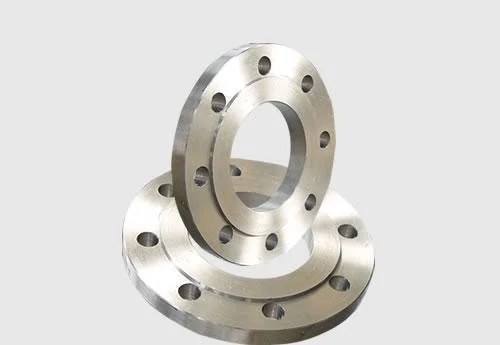 Stainless Steel Forged Flanges (PL, BL, SO, WN)