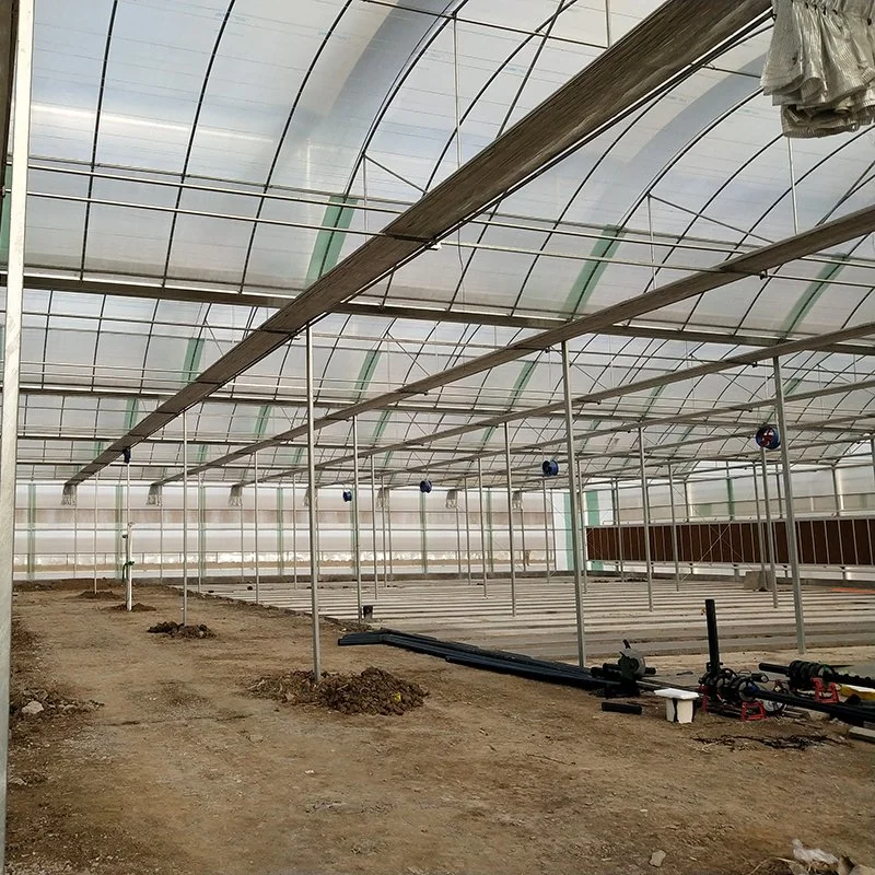 Customized Glass Structure Greenhouse From Chinese Suppliers