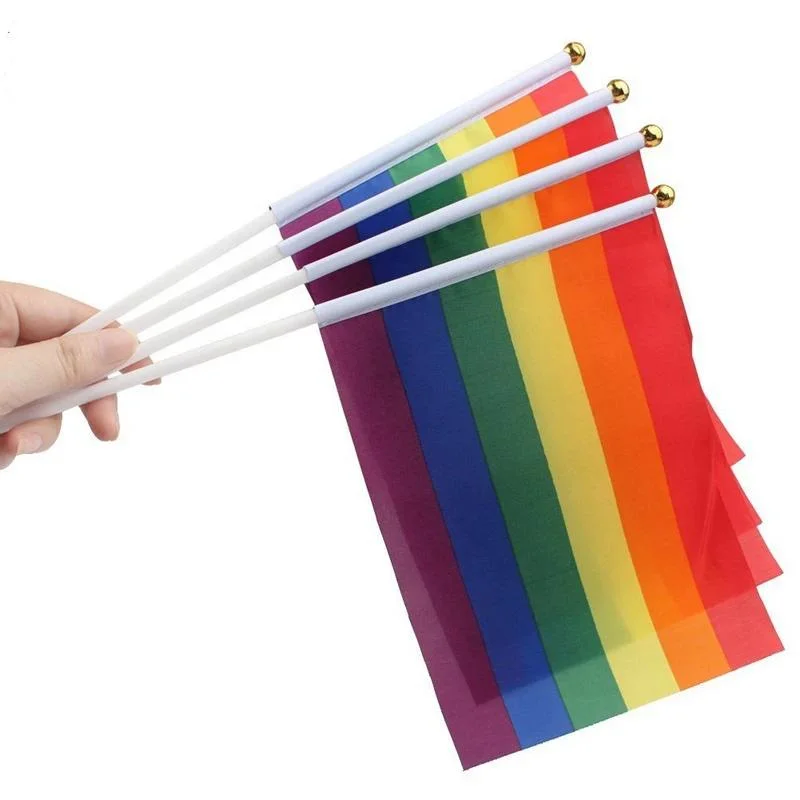 Custom Hand Waving Polester Flag with Plastic Pole Digital Printing Decorative (NF10F01004)