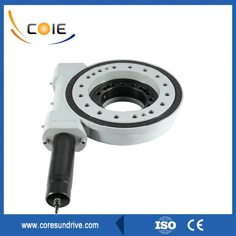 Custom Slewing Drive for Solar Panel with DC Motor or Hydraulic Motor