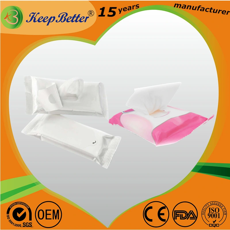 Disposable Alcohol Spunlace Nonwoven Free Samples Wet Wipes for Cleaning