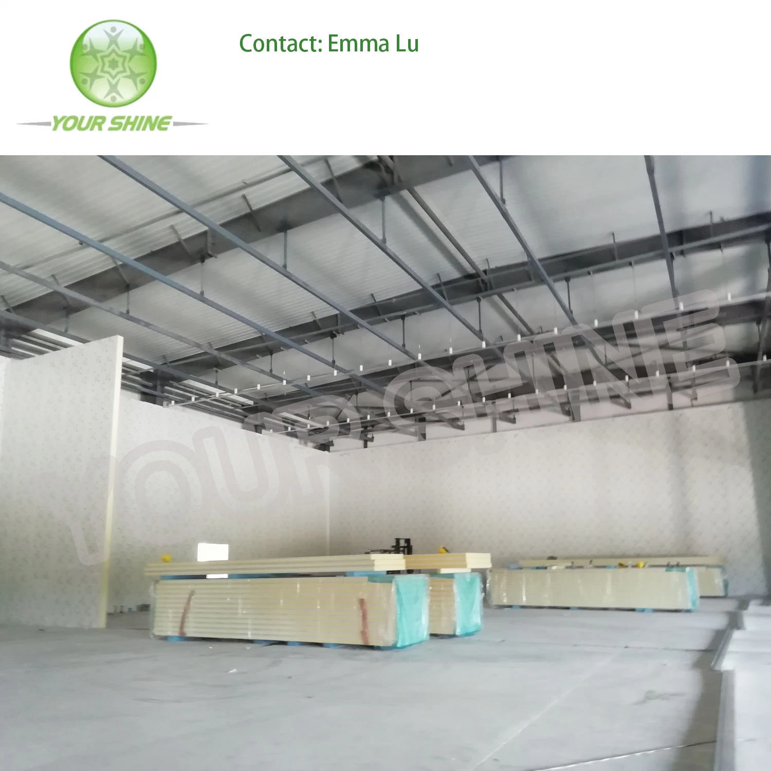 Fruit and Vegetable Storage Modified Atmosphere Cold Storage Complete Set of Equipment Project