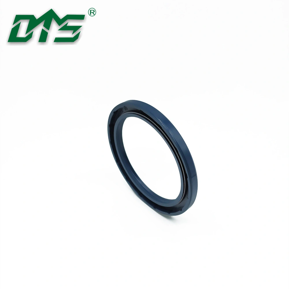 Mechanical Pressure Resistant NBR Tcv Motor Skeleton Oil Seals