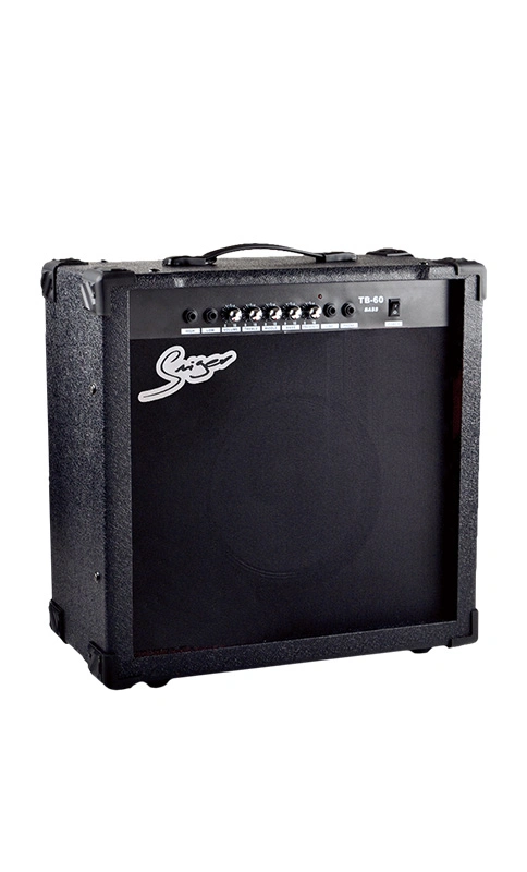 China Factory 60 Watt Bass Gitarre Amplifer