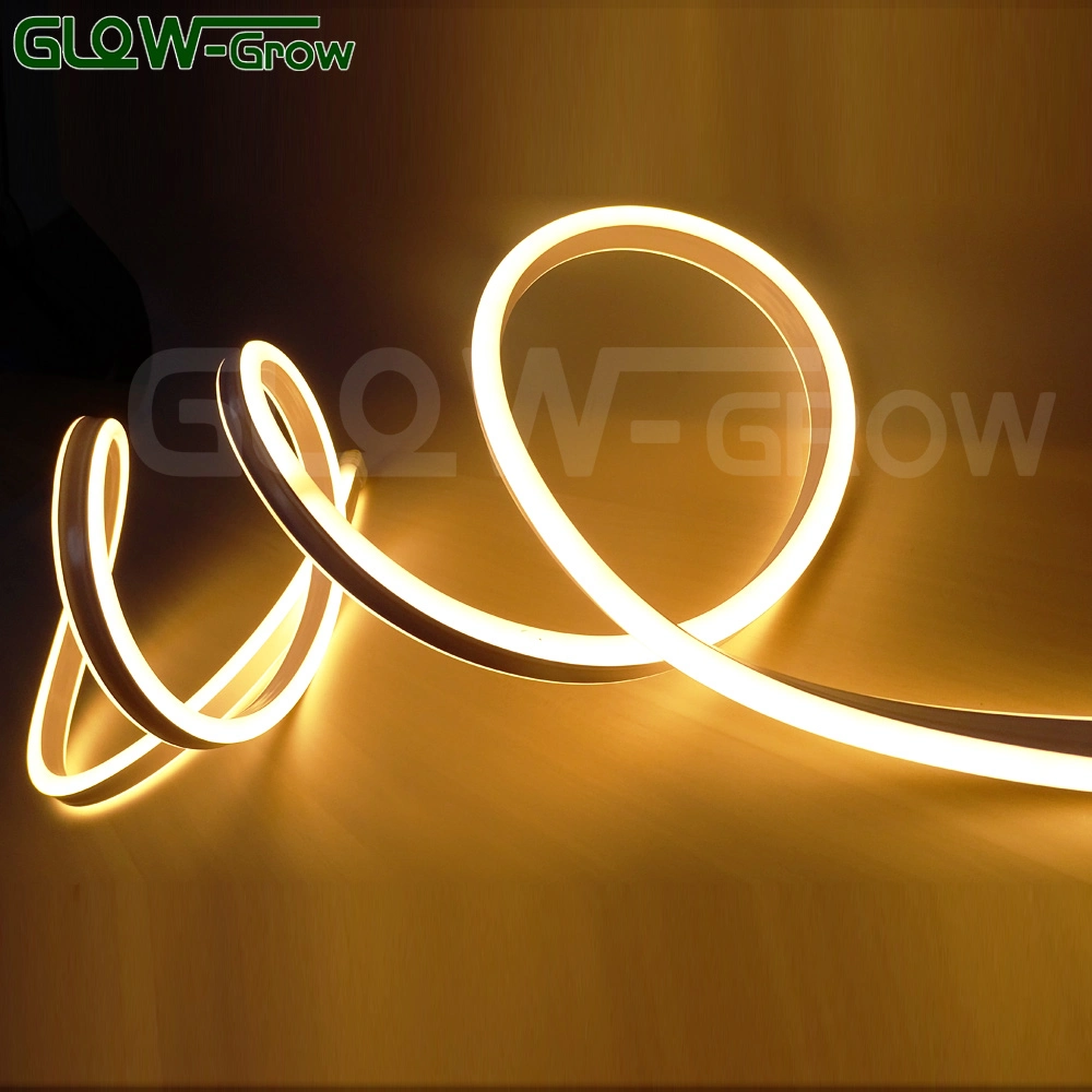 ETL UL 50m IP65 8*16mm Neon Flex LED Strip Lights for Outdoor Commercial Landscape Building Decoration