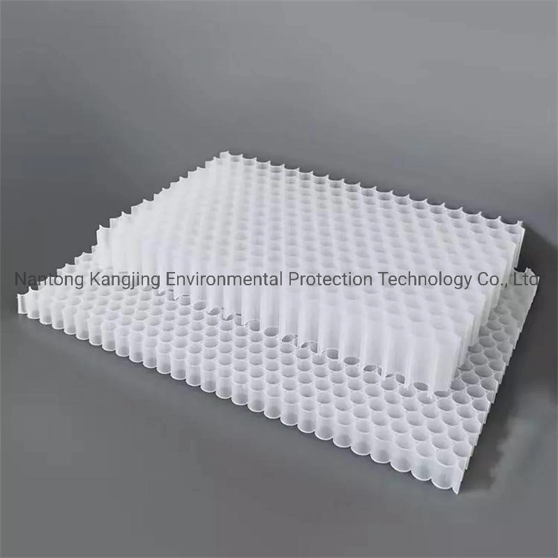 8mm 10mm 12mm PP Honeycomb Conseil pour la construction