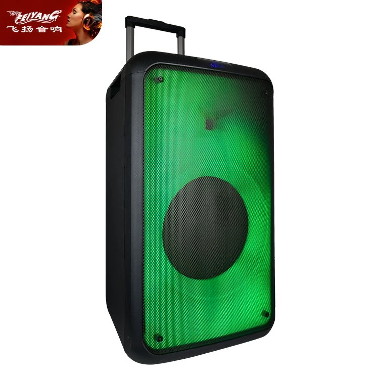 Trolley Speaker Affordable Price 50W Bluetooth Active Sound Box with Professional Audio Woofer Amplifier Powered Speaker