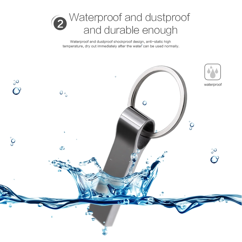 Free Logo Waterproof Key USB Flash U Disk 2GB 4GB 8GB