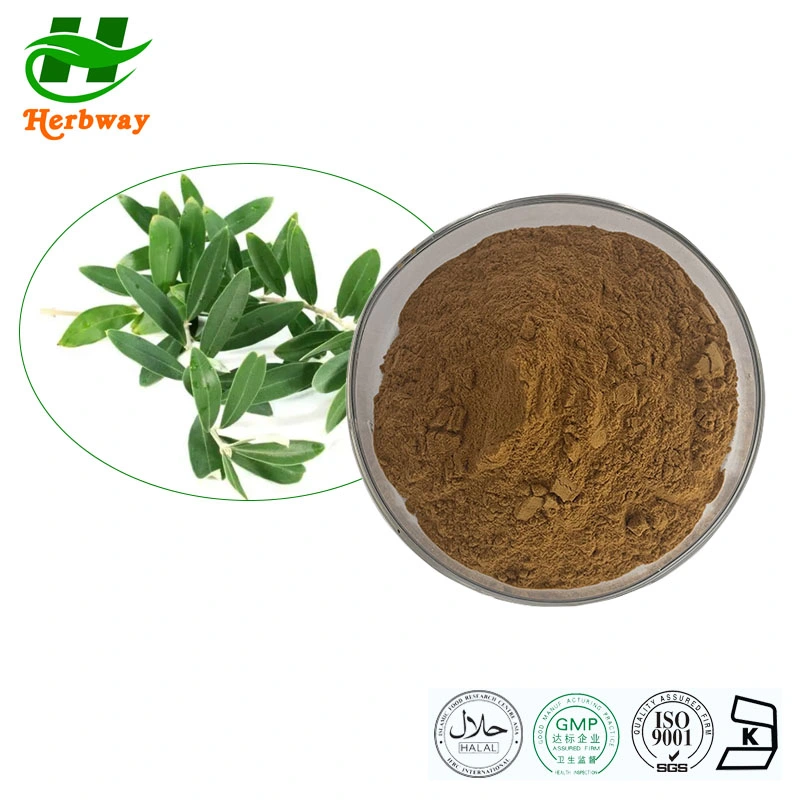 Herbway China Supplier High quality/High cost performance  Competitive Pirce 20% Hydroxytyrosol Olea Europea L Olive Leaf Extract Natural Supplements