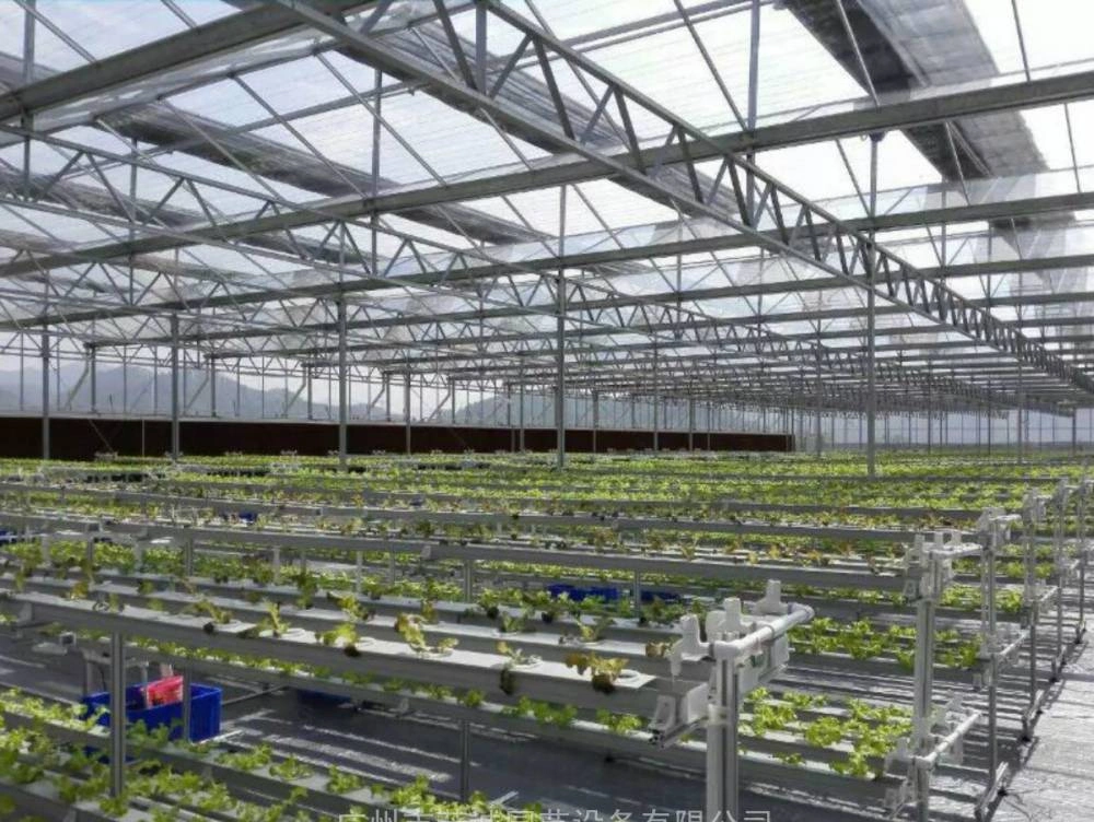 Agriculture/Commercial Multi Span Tough Film Glass Green House for Vegetable/Flower/Fruits with Automatic Irrigation System/Fan/Boiler