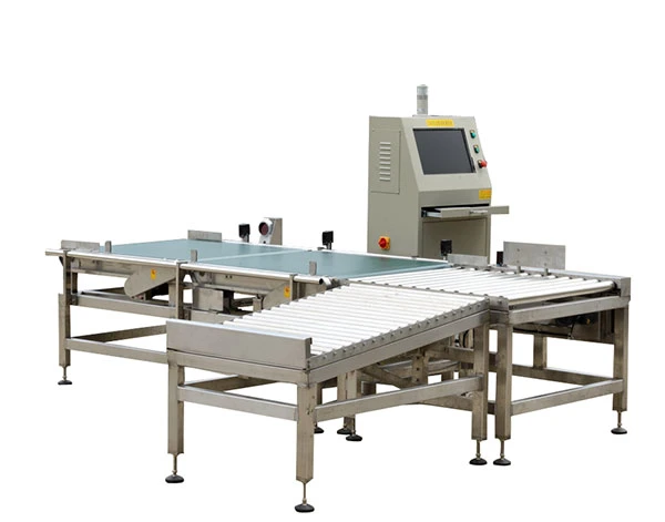 Checkweigher/Weight Sorting Machine (production line)