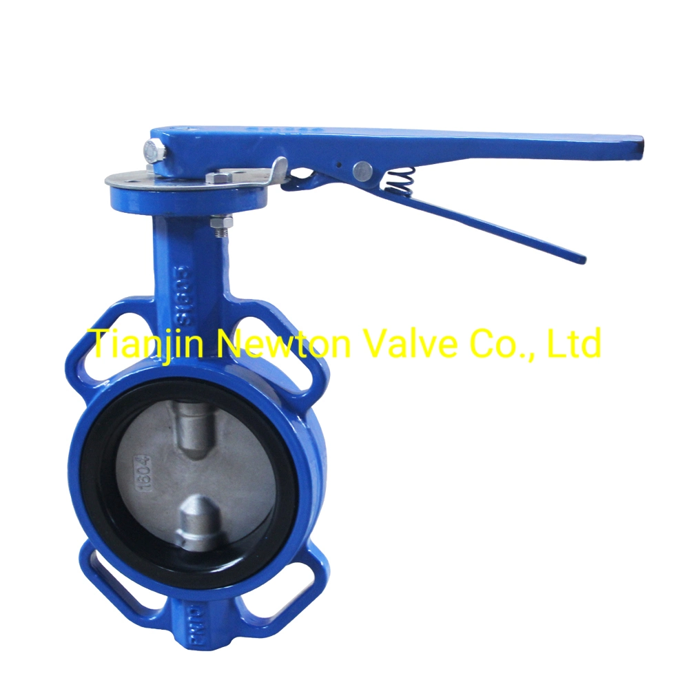 Double Shaft Butterfly Valve Lever Worm Gear with Undercut Disc Slim-Disc