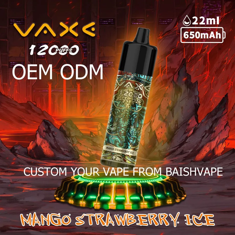 Vaxe 12K Puffs Zbood etiqueta privada Pi9000 Europa Cute Luckee Vuse Go E Cigarette desechable VAPE