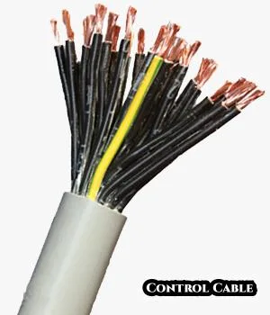 Cables de control flexibles aislados Rvvp PVC Multi-Core Pure Copper conductor Cable de alimentación aislado de PVC ZR-Kvrp