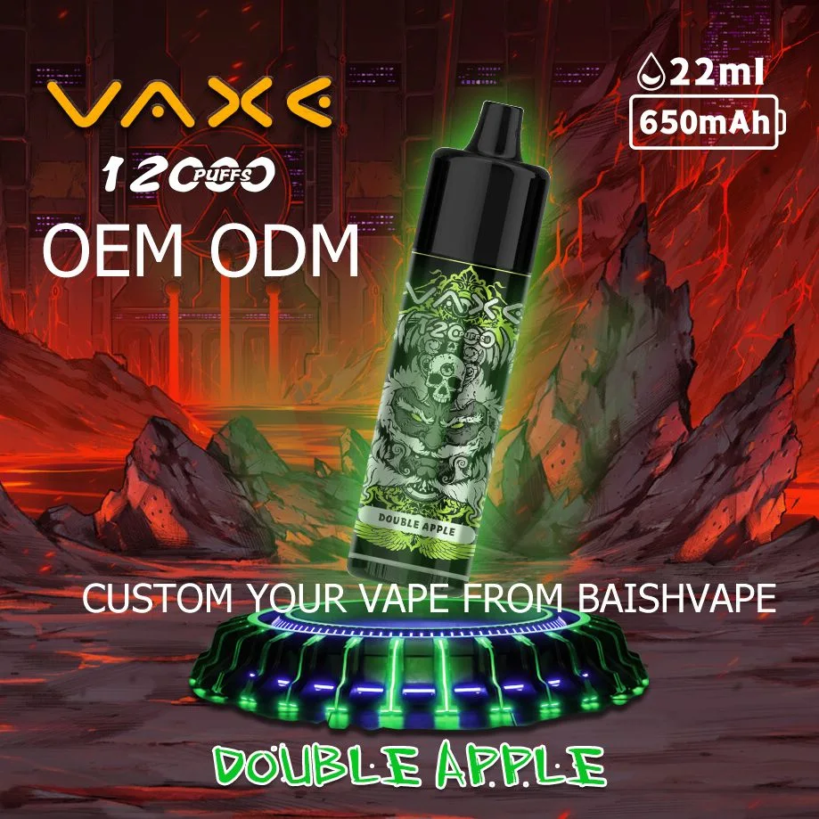 Vaxe 12000 Puffs Zbood Private Label Wiederaufladbare Lunge 500/600/800/1600/2500/2800 Alladin Verdampfer Einweg-Vape