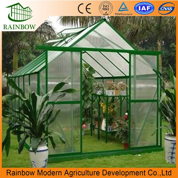 Hot-DIP Galvanized Steel Structure Polycarbonate (PC) Sheet Mini Greenhouse for Flowers/Vegetables