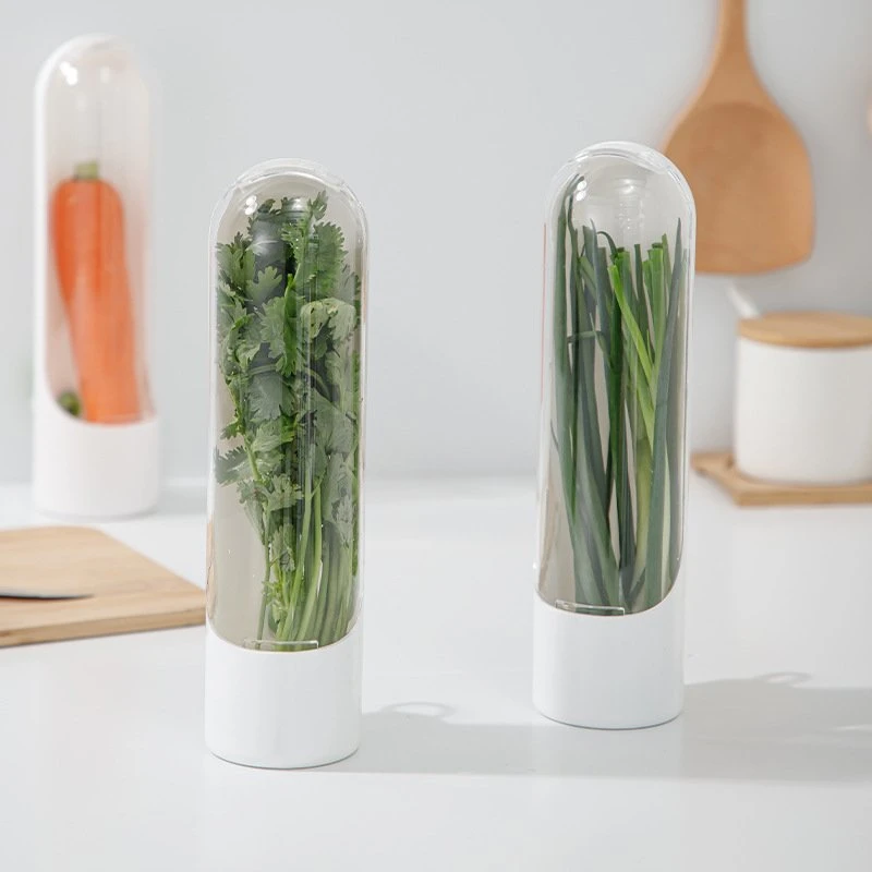 Plant Vegetable Crisper Vanilla Storage