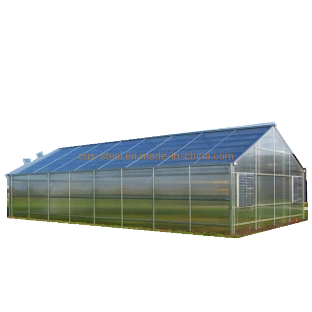 Long Lifespan Steel Structure Arch Type Plastic Po PE PC Film Greenhouse