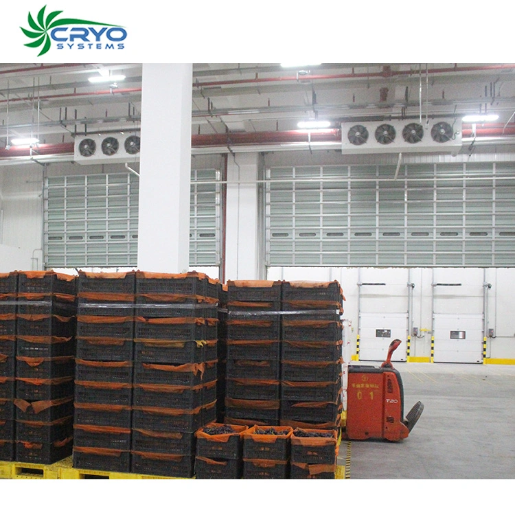 Customized Design Cold Storage Freezer Room in Food Processing, Farms, Warehouse