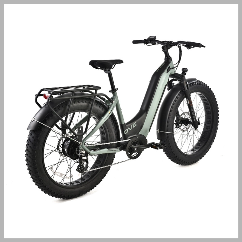 En15194 Foldable Safe Electric Bicycle for Children