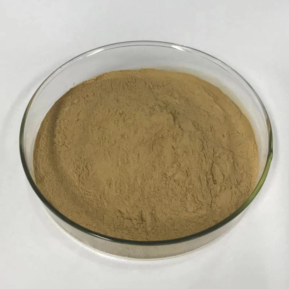 SOST Biotech Rojo/Negro el jengibre Extracto de Raíz Soluble en agua Gingerol 5%