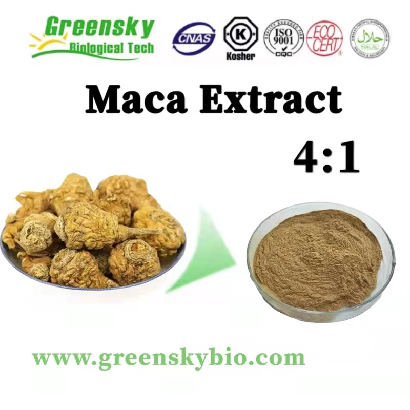 Kosher Halal مصدقة استخراج الأعشاب مستخرج 4 : 1 Macamides Maca Powder Maca مستخرج من العناية الصحية الذكور