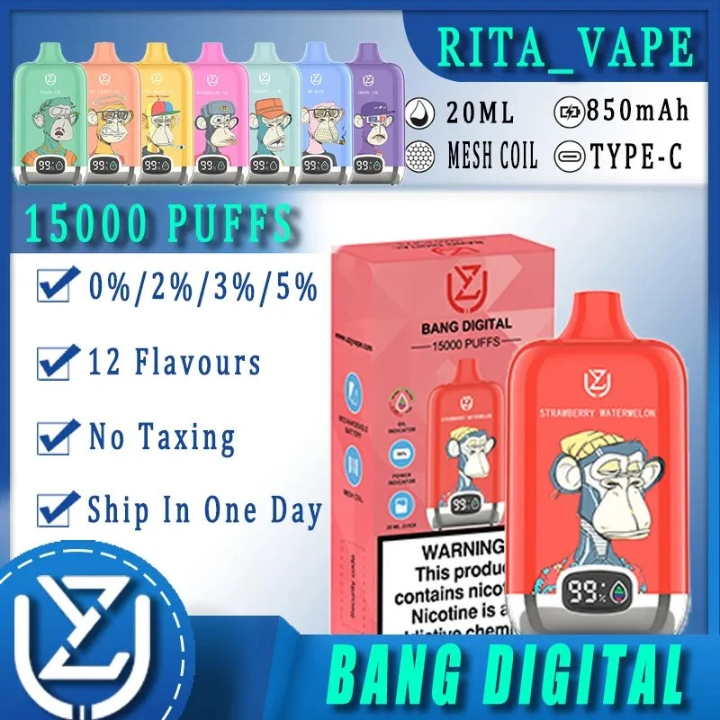 2024 Bang Box Recharge Disposable/Chargeable Vape 15000 Puffs Randm Tornado King E Cigarette 5% Geek Vape Bar Disposable/Chargeable Vape E-CIGS