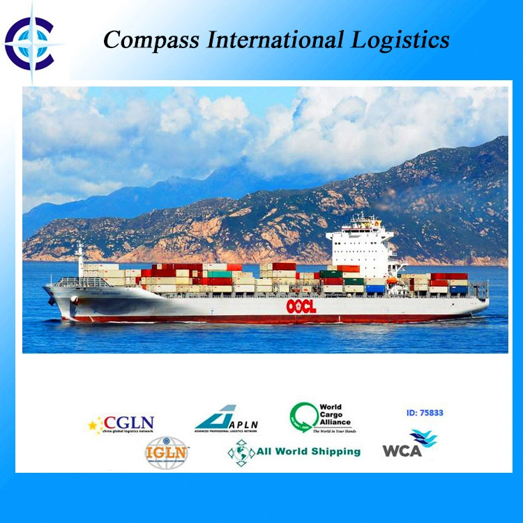 Logistics Agent From Foshan/Ningbo/Guangzhou/Shenzhen to Sokhna, Egypt