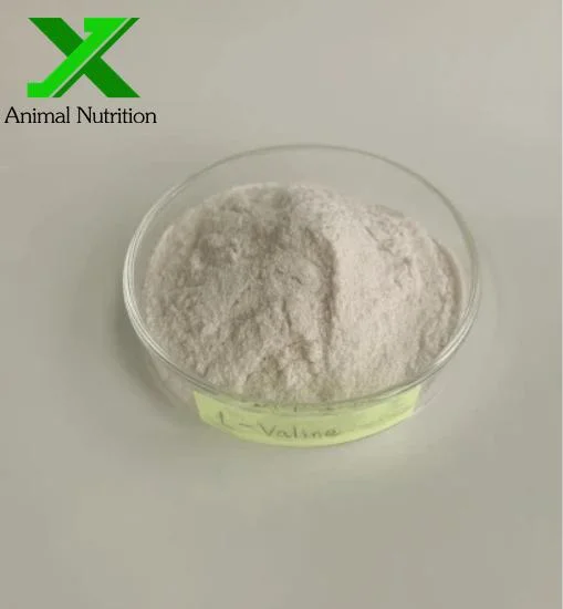 Amino Acid High Purity 99% L-Valine CAS 72-18-4