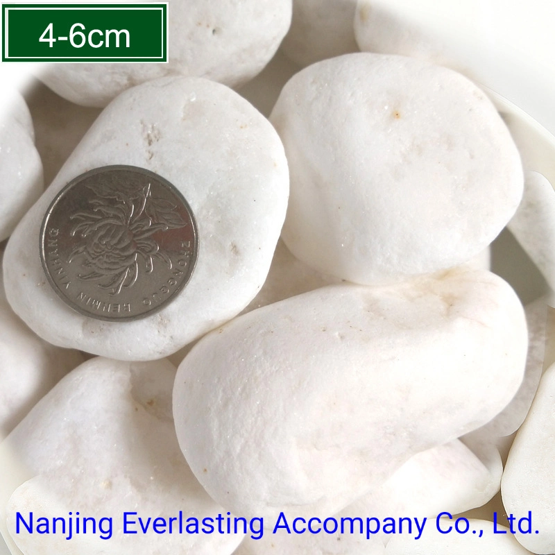 Bag Packing Snow White Polished Pebble Stone Landscape Rock